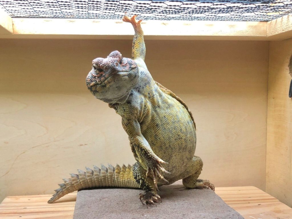 推主：一早起來第一眼就看到這個景象。（圖／Twitter@tgtgppp1） 