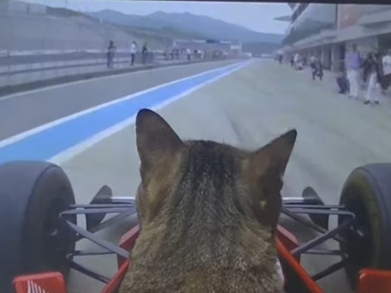 「貓賽車手」首次挑戰F1比賽　完美過彎飆速驚豔全場