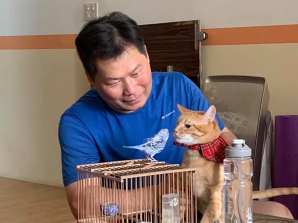 最疼橘貓的阿公貓不幸辭世　橘貓天天坐房門口痴痴等待：「奴才去哪了？」（圖／網友乾乾授權提供）