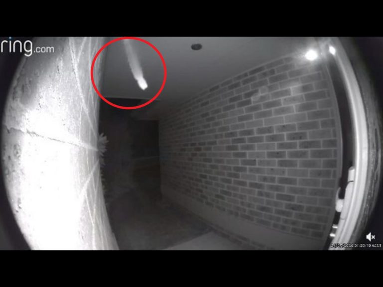 澳洲一名男子半夜聽到門鈴狂響，一看監視器發現深夜的意外訪客竟是巨大獵人蛛！（圖／reddit@u/xelfer） 