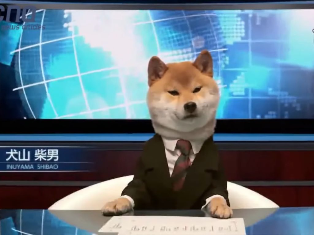 （正經貌）咳咳，歡迎回到現場，接下來新聞由我「犬山柴男」播報。（圖／Youtube@色んな速報チャンネル） 