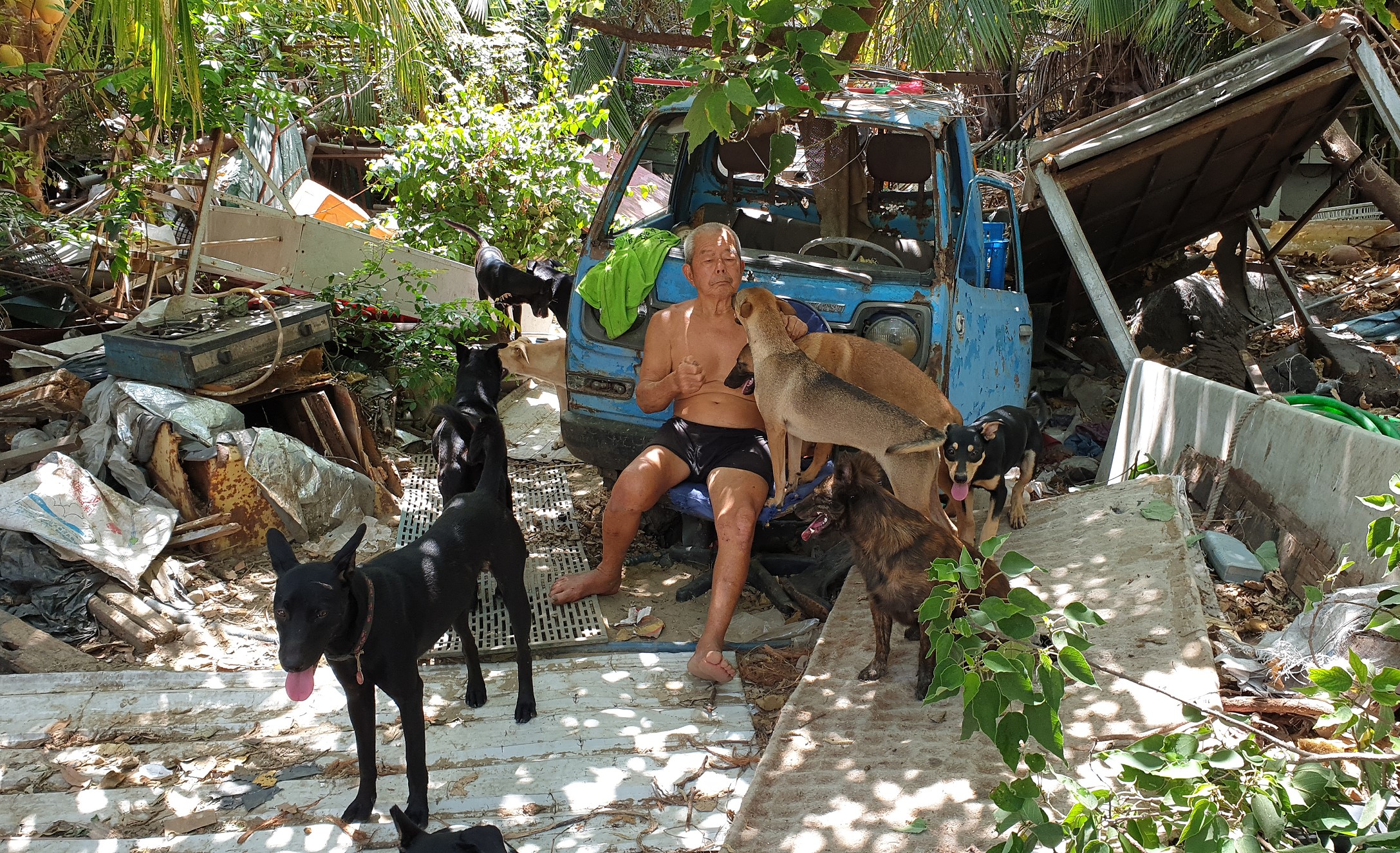 收容狗狗的土地堆滿20噸廢料成廢墟(圖/台灣動物緊急救援小組提供)