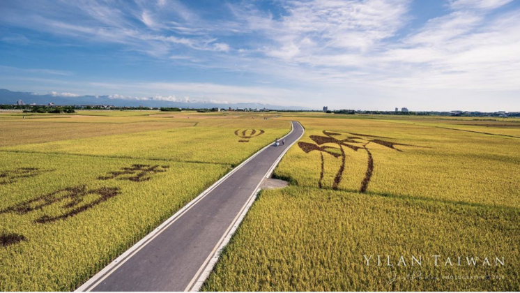 ▲宜蘭伯朗大道｜Dongshan Mr. Brown Avenue(Courtesy of IG/@philoschen)