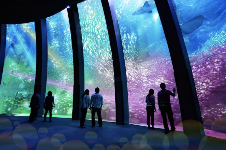 ▲「八景島水族館Xpark」| “Xpark Aquarium” (Courtesy of Xpark)