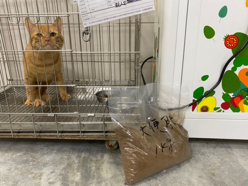 環保減汙!新北動物之家將糞便製成肥料 免費供青農使用
