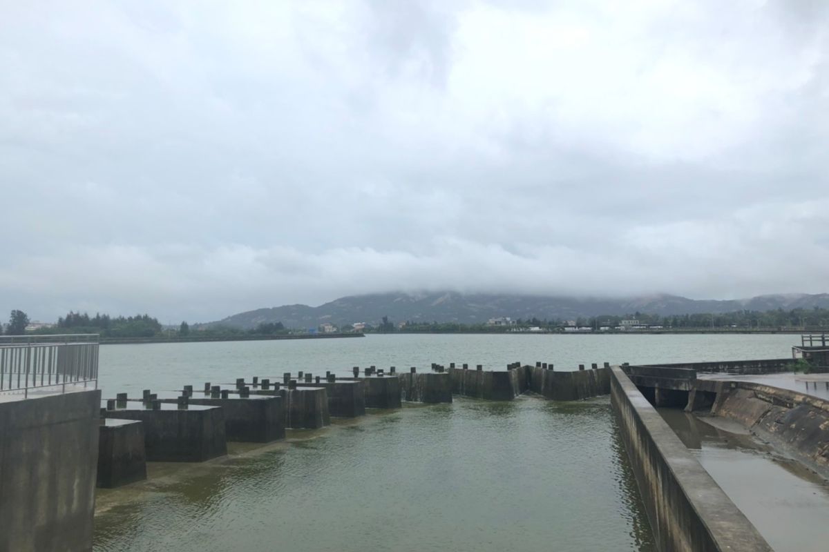 ▲陸水金供的水源注入當地下游的榮湖後，卻滲透至金沙水庫溢流入海。(圖/議員董森堡服務處提供)