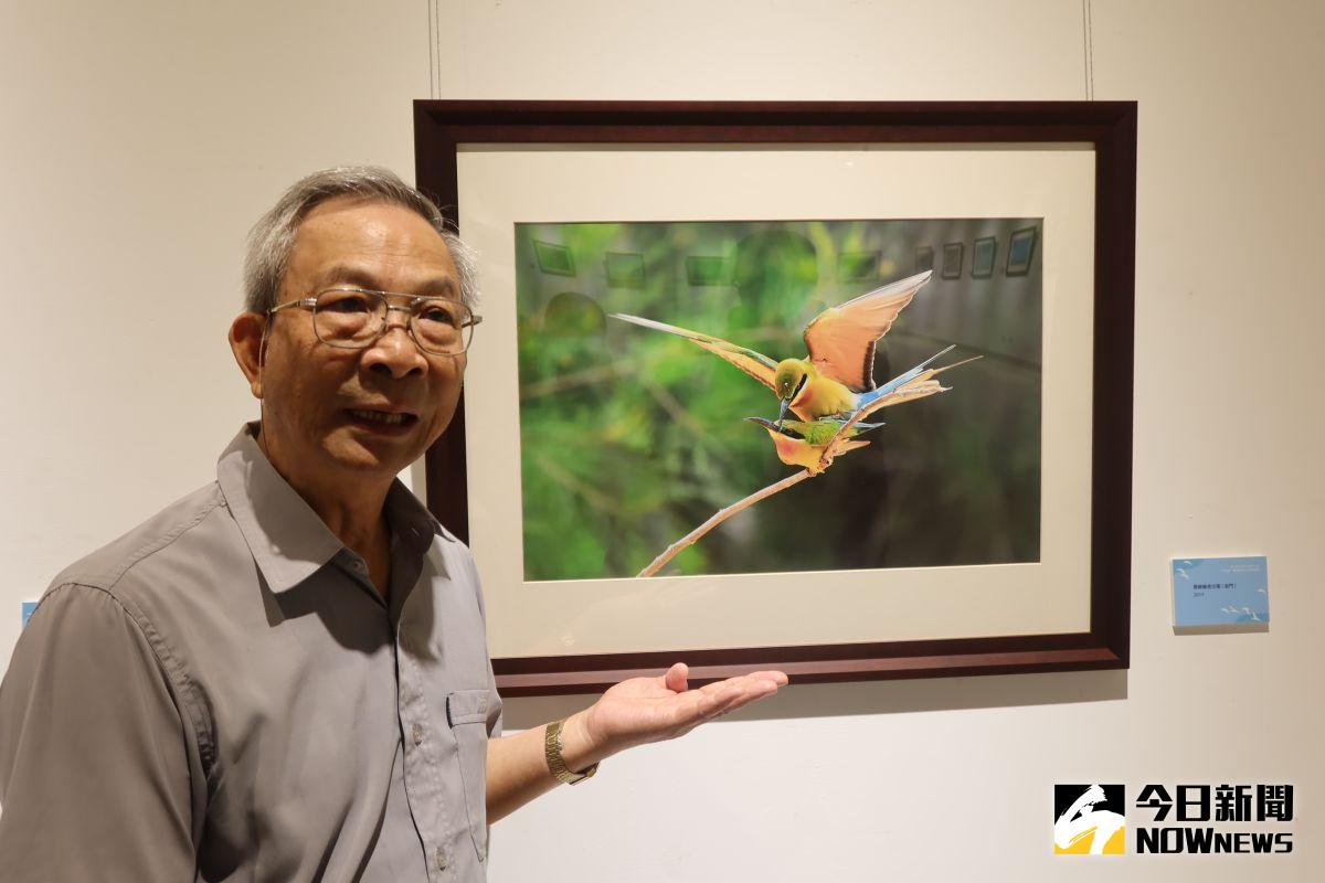 ▲只有在金門地區現蹤的夏日精靈「栗喉蜂虎」，美麗身影，令人驚艷。（圖／記者陳雅芳攝，2020.08.06）