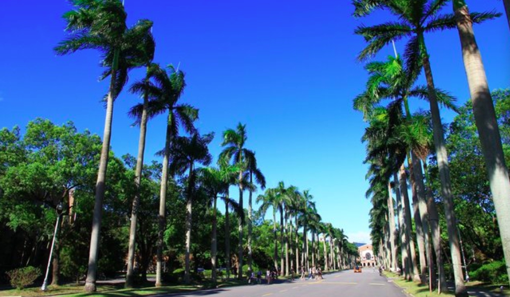 ▲國立台灣大學在今（9）日下午發生一起墜樓意外。（示意圖／NOWnews資料照）