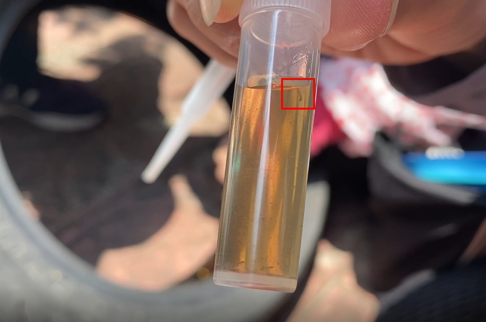 ▲桃園市衛生局表示，若民眾未主動妥善管理、清除積水容器及積水處，導致孳生病媒蚊幼蟲，經查核發現，就可以依傳染病防治法開罰3千元到1萬5千元罰鍰。（圖／桃園市衛生局提供）