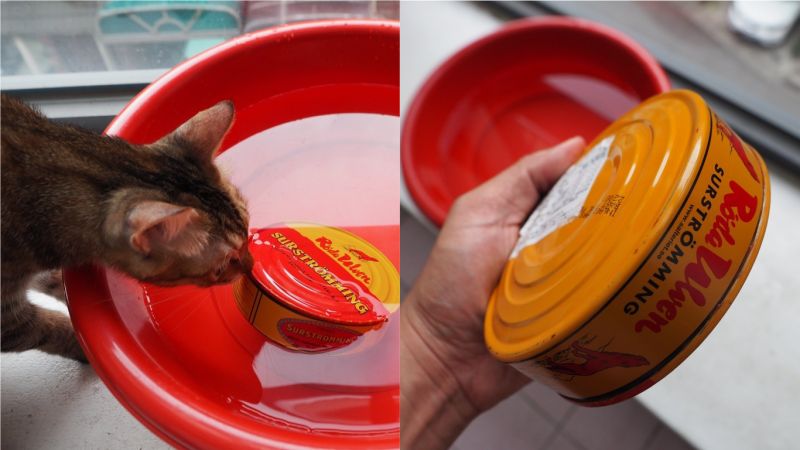 ▲鯡魚罐頭是NHK節目公認世界最臭的食物，攝影師吳穩舟買來開箱後的心得，讓不少網友直呼「真是勇者」。（合成圖／取自Wu Wolfgone臉書）