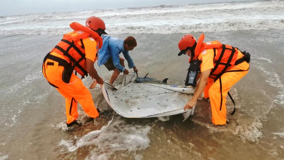 ▲漁民、岸巡弟兄協力救援擱淺海豚。(圖/民眾提供)