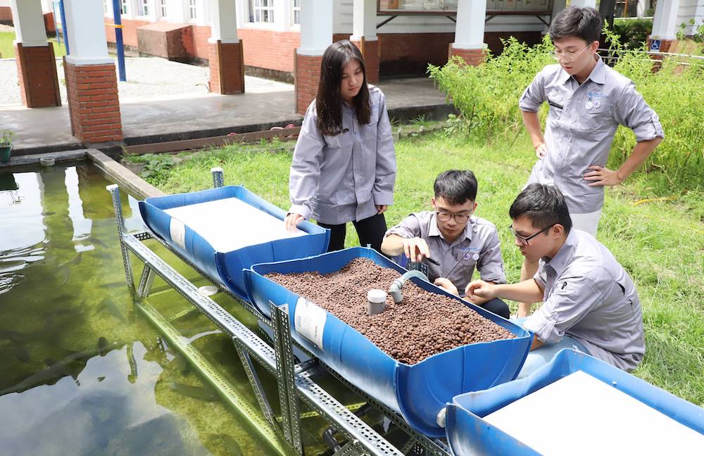 ▲台科大團隊將東澳國小的魚池打造為魚菜共生系統，推動環保及節能概念。（圖／台科大提供）