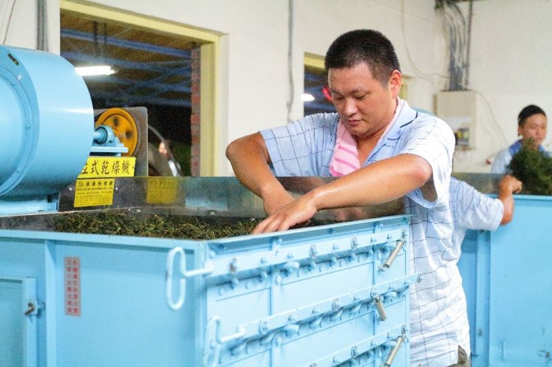 ▲汐止區青農蔡旭志將現有茶園管理方式導入智慧化元素,建立氣候環境與土壤環境監測物聯網設備。(圖/新北市農業局提供)