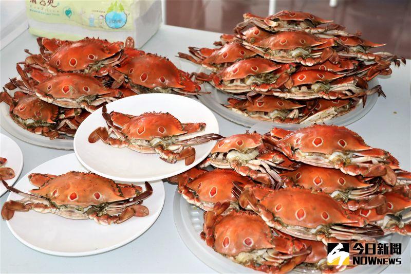 ▲澎湖縣農漁局希望透過沙蟹復育體驗活動，向大眾宣導大啖美味蝦蟹的同時，應保有「漁業資源永續利用」之概念。（圖／記者張塵攝，2020.08.12）