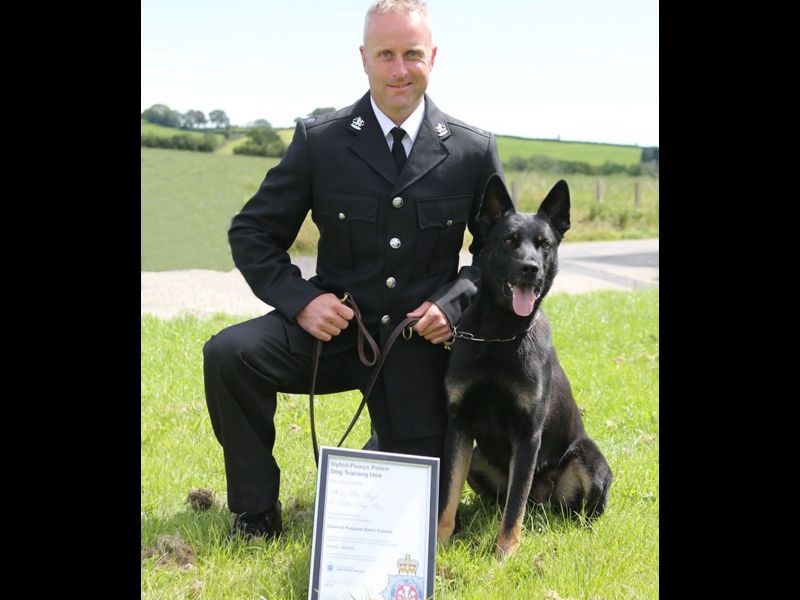 ▲警官彼得（Peter Lloyd）和警犬麥克斯（Max）從訓練時期就是好夥伴，不久前麥克斯才獲得執照正式成為警犬。（圖／Dyfed-Powys Police）