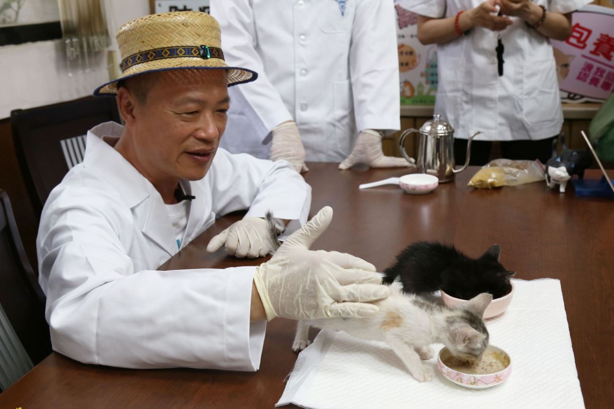 ▲對於嘉義縣長翁章梁而言，貓咪是代表「死亡」的生物，好巧不巧，縣長夫人劉莉英是不折不扣的「貓奴」，翁章梁不能拒絕貓咪走進自己的家庭，在朝夕相處下，卻也悟出一番與貓相處的哲學。(圖/嘉義縣政府提供)