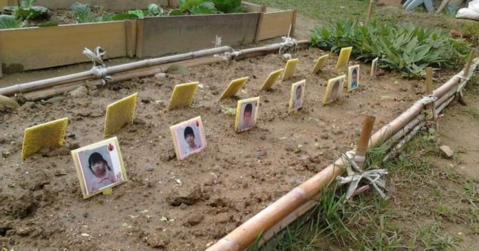 ▲圖／取自Reddit @u/GK_08)