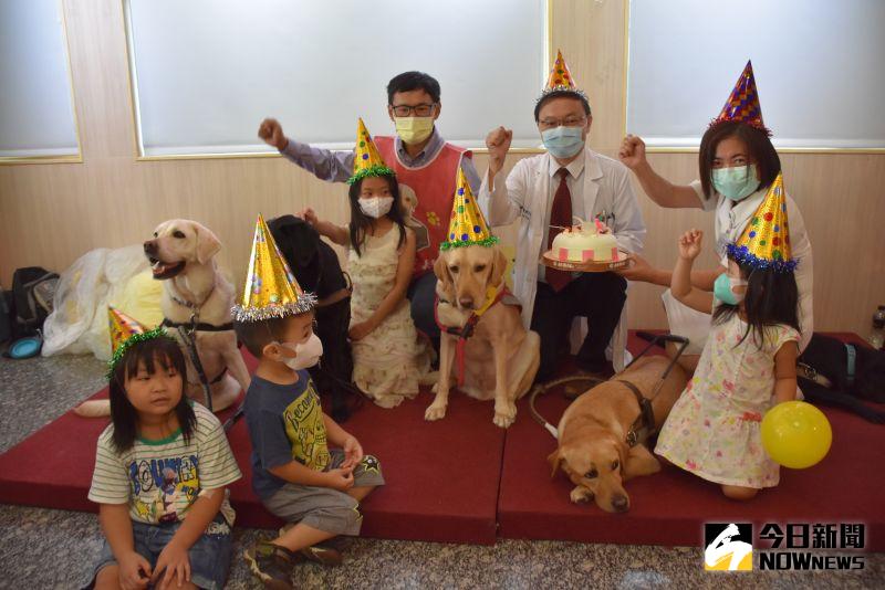 ▲彰基兒童醫院、台灣導盲犬協會及現場小朋友為亞瑟慶生。（圖／記者陳雅芳攝，2020.08.15）