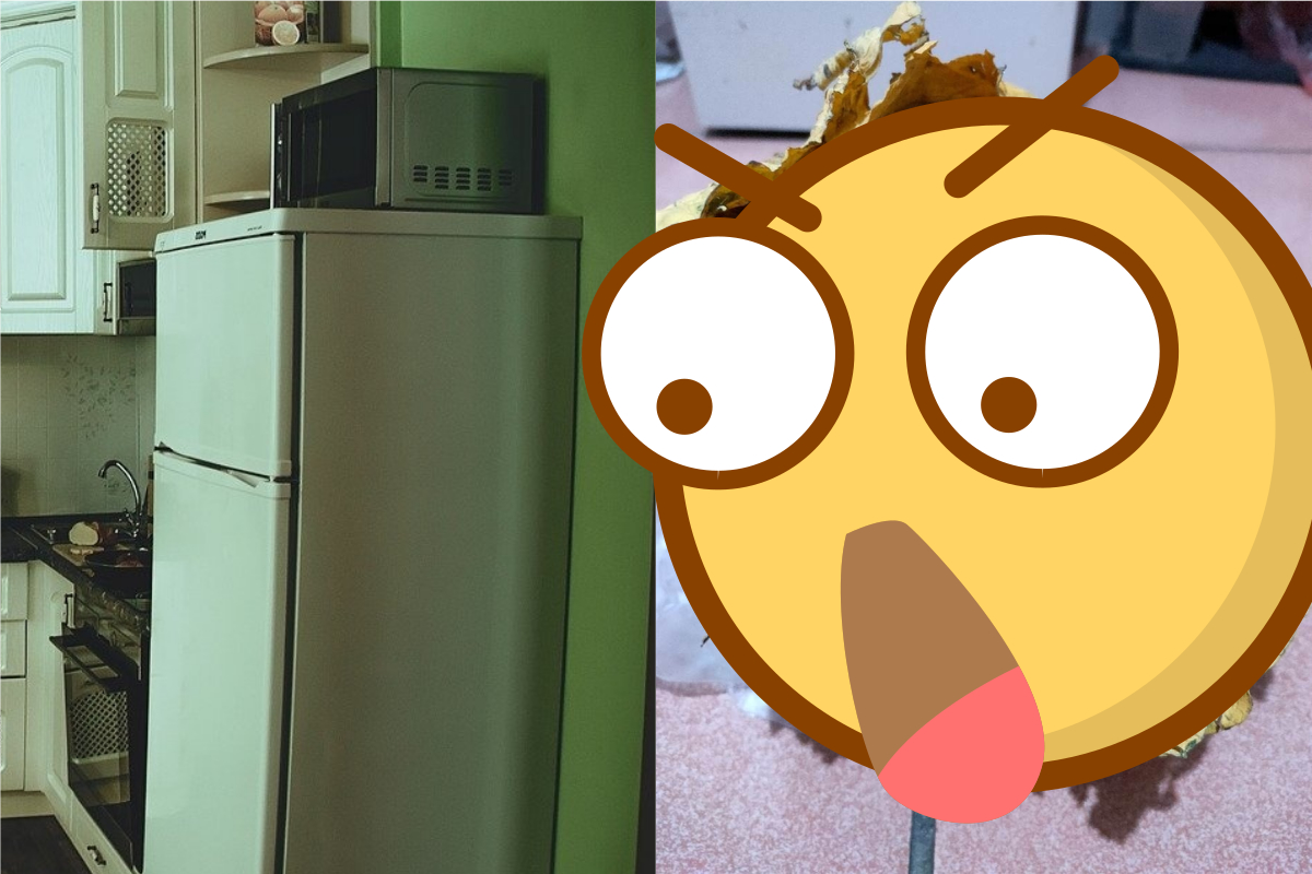 ▲一名女網友指出，自己在家中冰箱挖出一顆遺忘許久的高麗菜，但照片卻讓許多人看傻直呼「這根本是化石！」（圖／翻攝Pixabay、爆廢公社二館臉書）