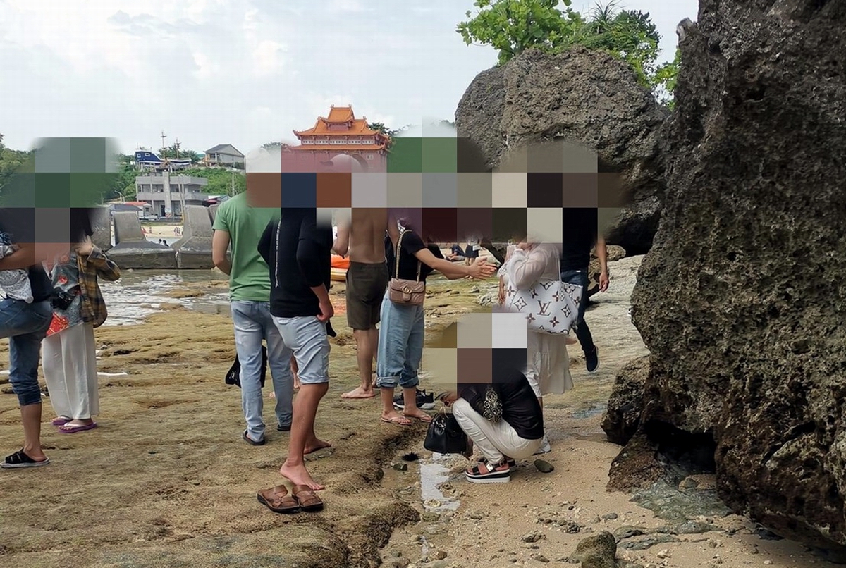 ▲近期因國內疫情趨緩，使國旅人數大爆發，島上遊客屢屢破萬，故時有發生遊客觸摸海龜、抓海膽、盜採硨磲貝等違法、違規的行為。（圖／海巡署南部分署第五岸巡隊提供 , 2020.08.17）