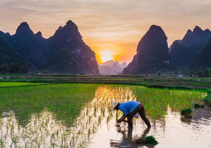 台灣為什麼不會有糧食危機？內行人點出真相：就差一點了
