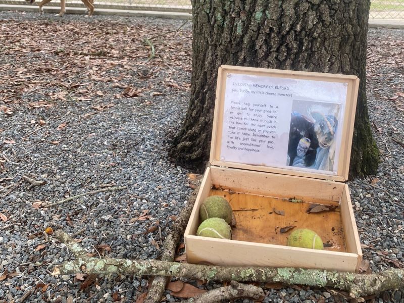 ▲國外一名女子日前在狗公園發現一個木箱裡有網球，還留有狗狗布福（Buford）的照片和飼主要給大家的文字，她一看完內容瞬間飆淚。（圖／Twitter@courttkardashh）