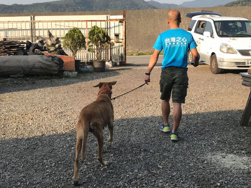 ▲逐戶訪查時協助民眾處理犬貓絕育事宜。（圖／台灣之心愛護動物協會提供）