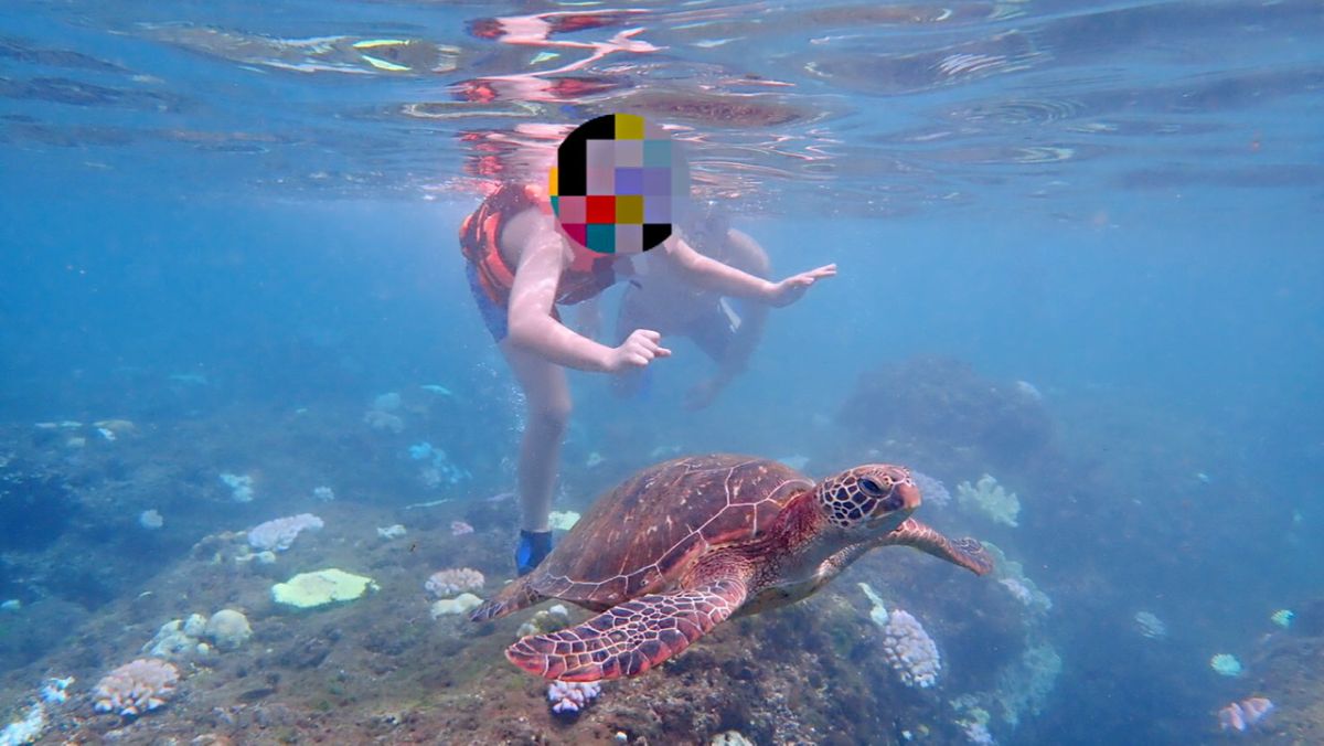▲海巡署南部分署第五岸巡隊小琉球安檢所接獲民眾報案於美人洞海域潛水時，發現一兒童疑有觸摸海龜情形。（圖／海巡提供）