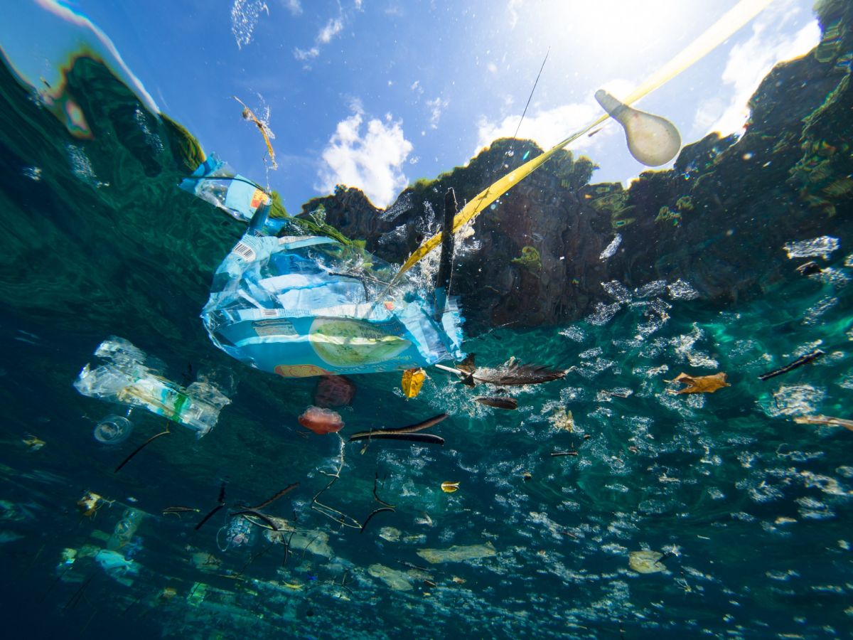 ▲世界自然基金會今天表示，塑膠已滲入海洋各處，目前「從最小浮游生物，乃至最大鯨魚身上」都能發現塑膠。示意圖。（圖／翻攝自 Newsweek ）