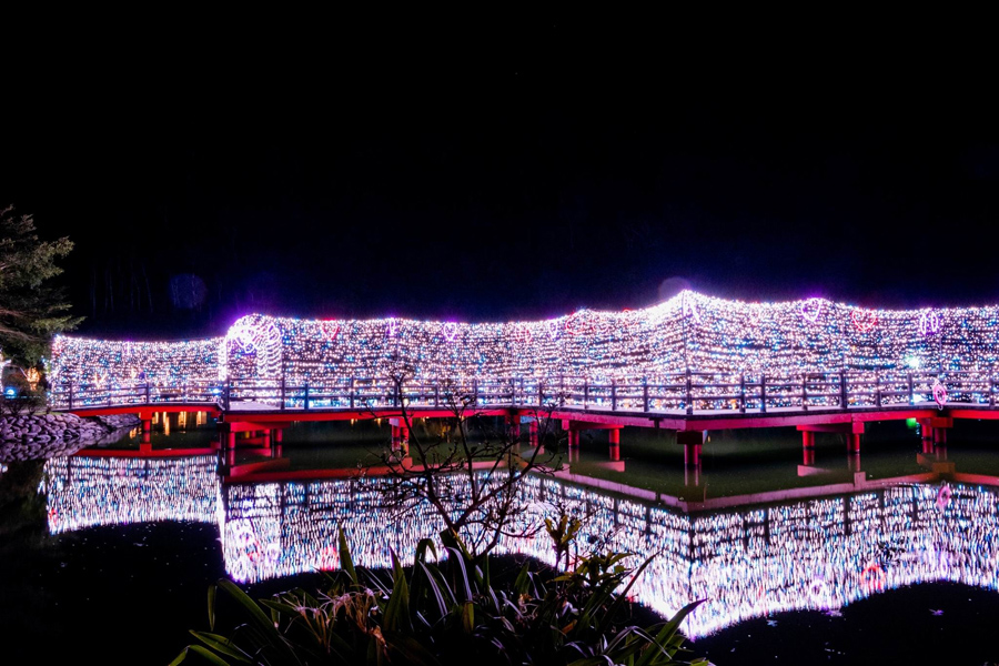 ▲望龍埤彎彎曲曲的九曲橋變身成為傳說中的星空隧道。（圖／員山鄉公所提供)
