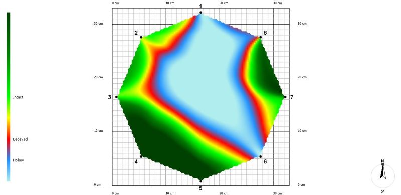 ▲林務所透過應力波檢測技術檢測方式,追蹤樹幹內部劣化腐朽情形。(圖/金門縣林務所提供)
