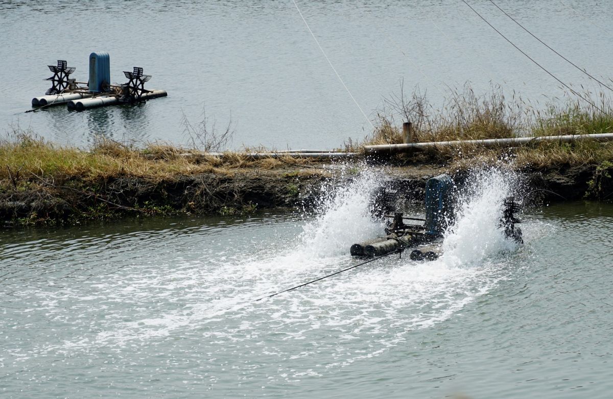 ▲水產養殖業者24小時以電力驅動打氧水車，電費的支出更導致養殖成本逐年提高。（圖／記者蘇榮泉攝，2020.08.21）