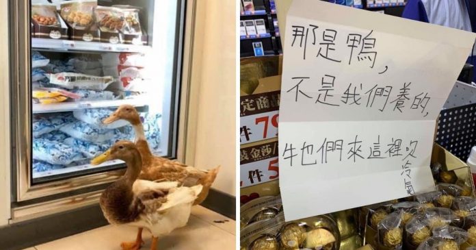 ▲圖／取自推特@nalalandoz