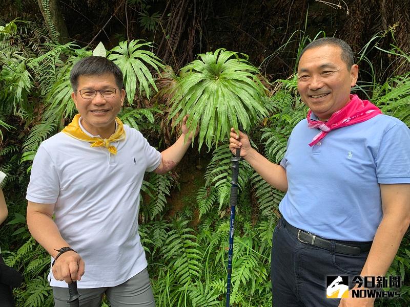 ▲林佳龍和侯友宜在距今一億五千萬年前，侏羅紀時代就存在的雙扇蕨前面合影留念。(圖/記者康子仁攝)