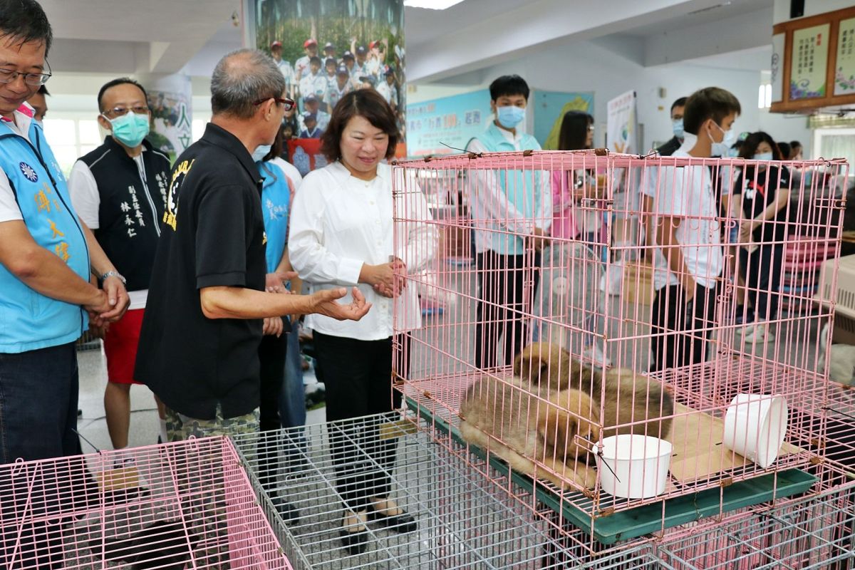 ▲嘉義市長黃敏惠呼籲所有飼主，不應該隨意丟棄。〔圖／嘉市府提供2020.08.23〕