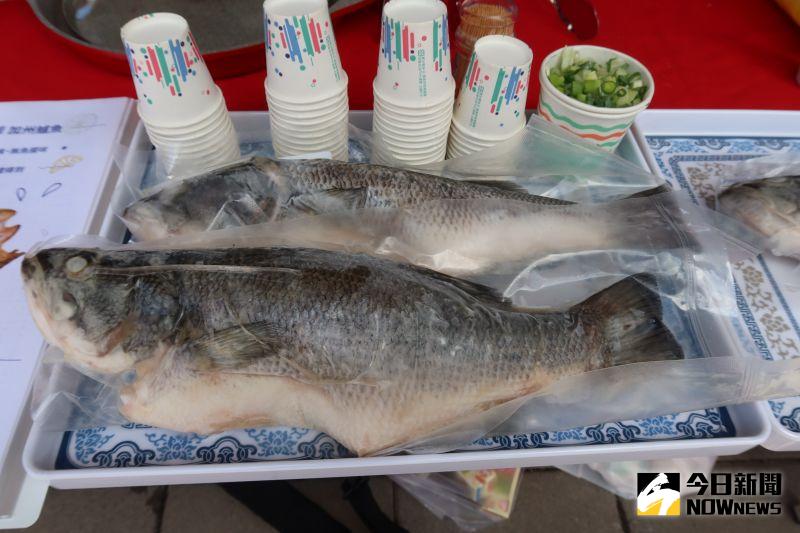 ▲要讓加州鱸在成長過程中餵食加入有機檸檬成分的特調飼料,因此鱸魚油脂中含有檸檬酸。(圖/記者陳雅芳攝,2020.08.23)
