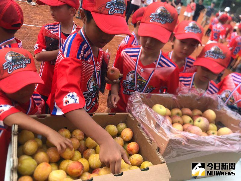 ▲員林市棒委會主委黃嘉宏也送給每位參加營隊的小球員每人一顆蘋果、一顆「恐龍蛋」。（圖／記者陳雅芳攝，2020.08.23）