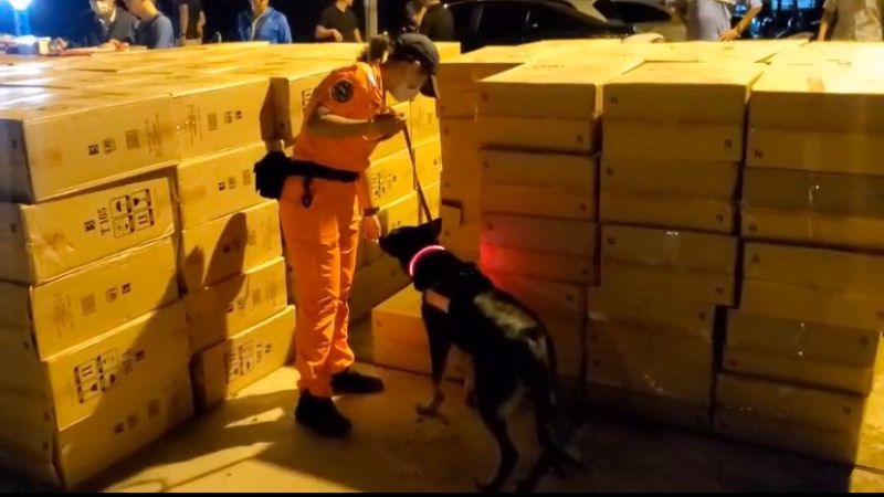 ▲海巡偵蒐犬協助清艙。（圖／記者陳聖璋翻攝）