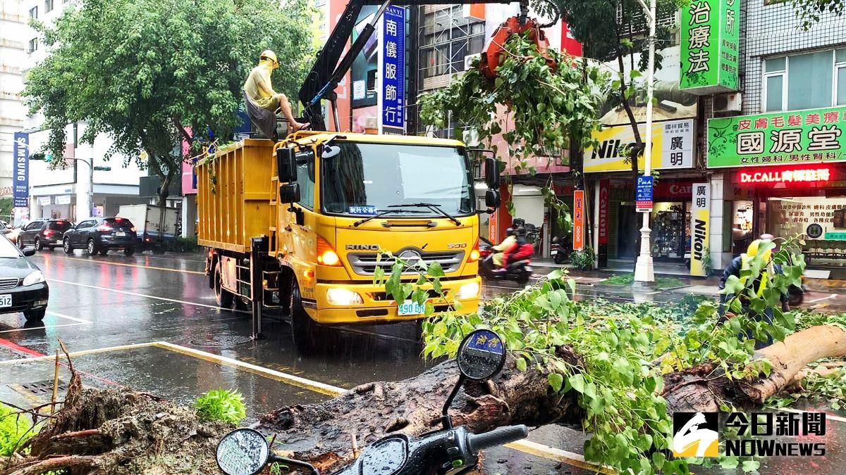 ▲
▲雨炸高雄，高雄市三民區建國二路，大雷雨後，發生路樹倒塌，高市工務局養護工程處緊急派員清理。(圖／記者郭俊暉攝，2020.08.26)

