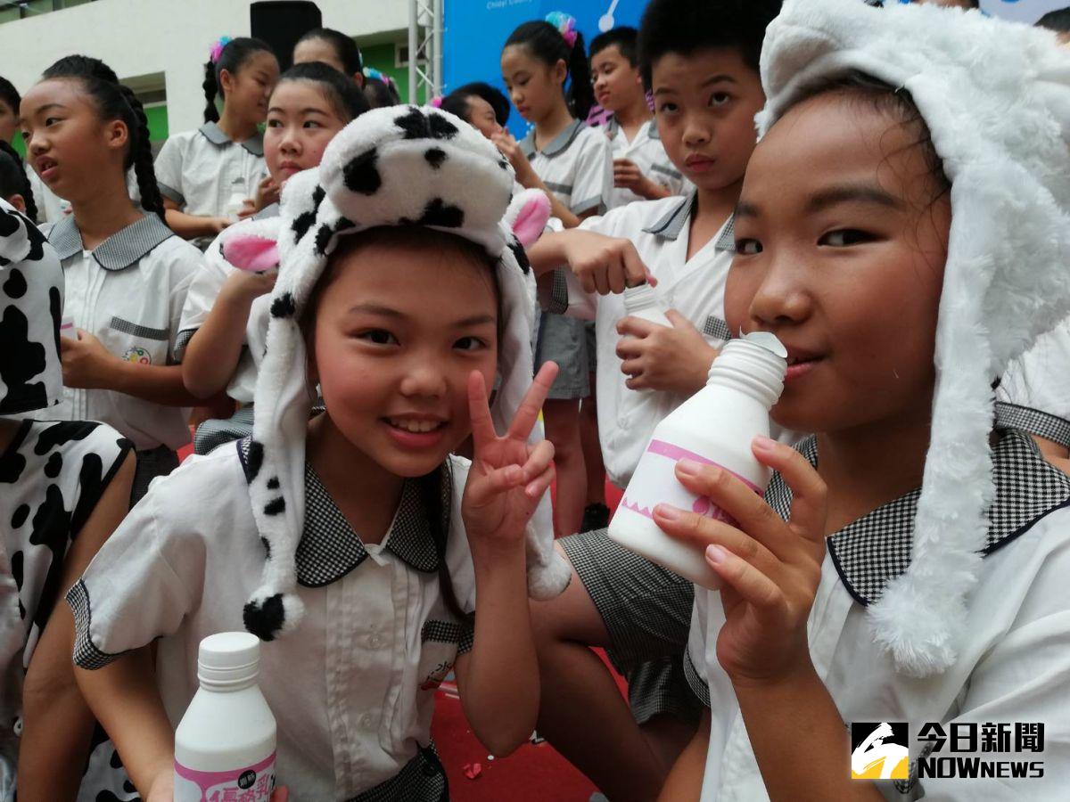 ▲嘉縣國小一至六年級學童，牛奶、羊奶、豆奶與優酪乳等▲乳品每週一次免費喝。（圖/記者邱嘉琪攝，2020.08.27）
