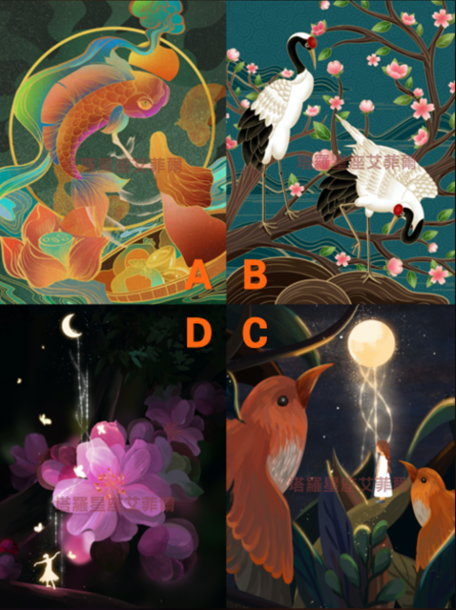 ▲塔羅牌老師艾菲爾分享了一項心理測驗，測你「要多久才能脫單」。（圖／取自《塔羅牌老師艾菲爾》臉書粉專）