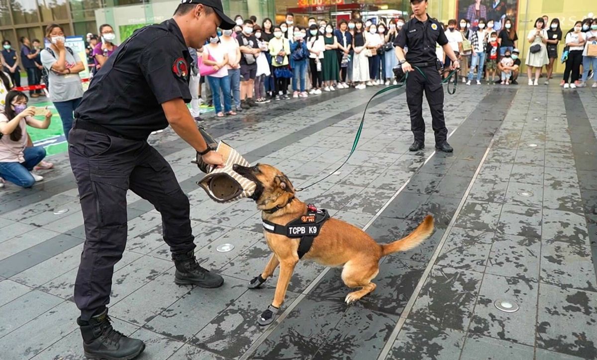 ▲台中警犬隊展示各項防範犯罪神技，獲得滿滿大小朋友掌聲。(圖/警方提供)