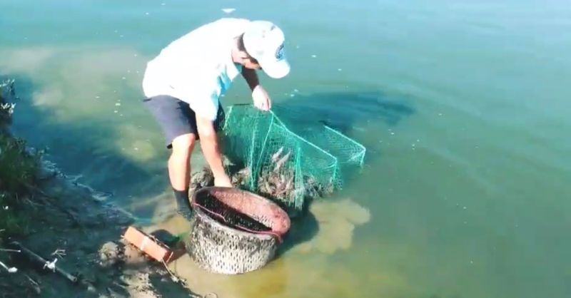 ▲陳勤富特別呼籲,任何商業行為都不應引用過時資訊打擊本土產業。(圖/台灣草蝦暨養殖協會提供)