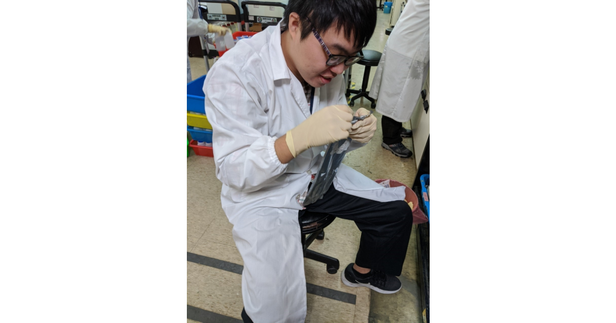 ▲在台旭擔任實驗室助理的小楷認真工作的樣貌。（圖／新北市政府勞工局提供）