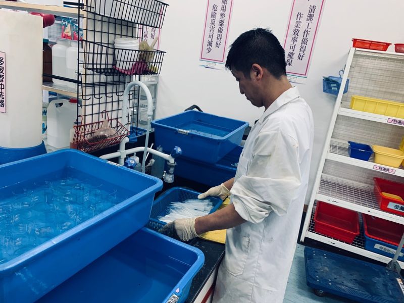 ▲在台旭擔任實驗室助理的小楷認真工作的樣貌。(圖/新北市勞工局提供)