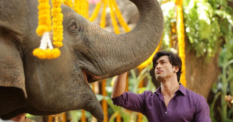 《魔蠍大帝》票房強導改拍寶萊塢片　與野生大象合作
