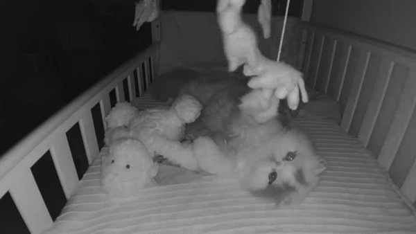 先是其中一隻愛貓偷偷玩阿蒂嬰兒床上的玩具。（圖／Facebook@Emily May Casey） 