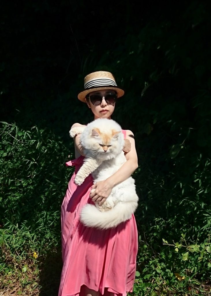 主人經常抱著白貓在鄉間小路散步（圖／Twitter@WeUADL1Ws02osvw）