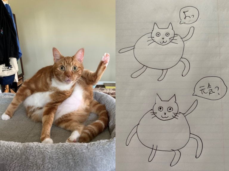 日本一名推主捕捉到橘白貓抬腳定格的謎樣形體，疑惑表示：「不懂這是什麼姿勢？」（圖／Twitter@jazz530）