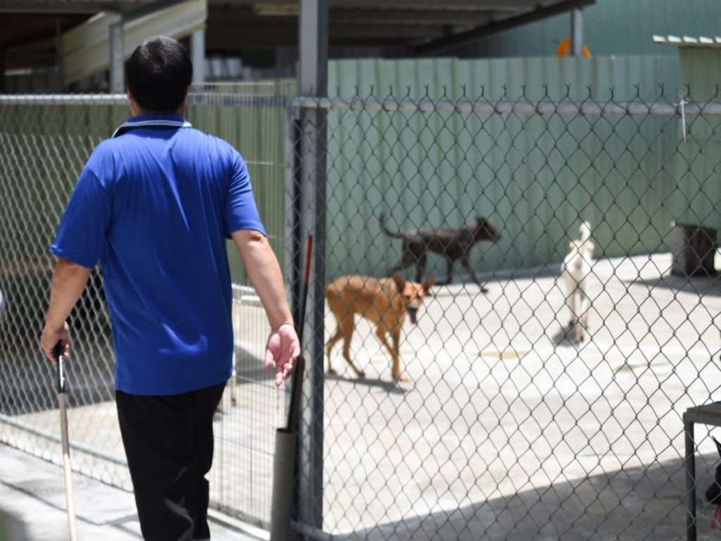 ▲全國除了六都之外，公立收容所管理人員普遍偏低，尤其獸醫人力更是缺乏。（圖／記者陳明安攝）